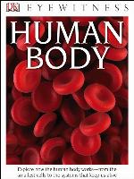 Human Body