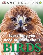 Everything You Need to Know About Birds