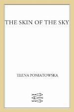 The Skin of the Sky