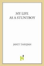 My Life as a Stuntboy