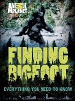 Finding Bigfoot