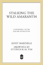 Stalking the Wild Amaranth