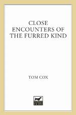 Close Encounters of the Furred Kind