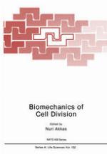 Biomechanics of cell division