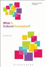What Is Cultural Translation?