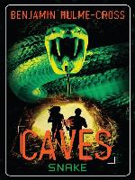 Snake: The Caves 6