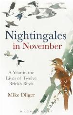 Nightingales in November