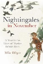 Nightingales in November