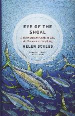 Eye of the Shoal: A Fishwatcher's Guide to Life, the Ocean and Everything