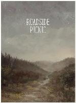 Roadside Picnic