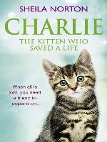 Charlie the Kitten Who Saved a Life