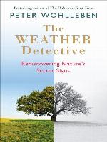 The Weather Detective