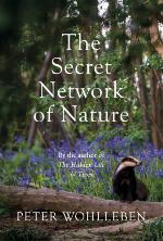 The Secret Network of Nature