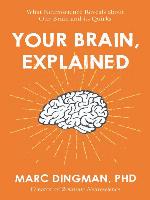Your Brain, Explained