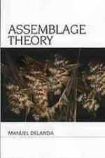 Assemblage Theory