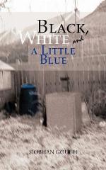 Black, White and a Little Blue