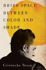 Brief Space Between Color and Shade