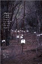 Indigenous Textual Cultures