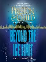 Beyond the Ice Limit