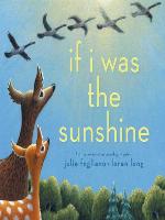 If I Was the Sunshine