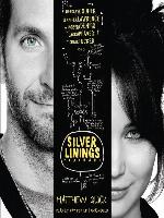 The Silver Linings Playbook