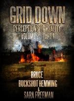 Grid Down Perceptions of Reality Vol 2 Book 1