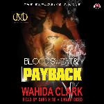 Blood, Sweat, and Payback (Payback series, Book 4) (The Payback Series)