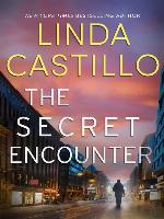 The Secret Encounter