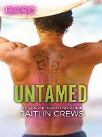 Untamed--A Steamy Workplace Romance