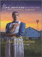 Seeking Amish Shelter