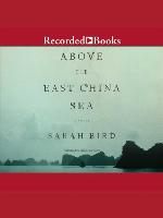 Above the East China Sea