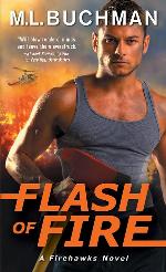 Flash of Fire (Firehawks, 4)