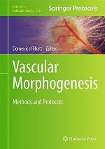 Vascular Morphogenesis