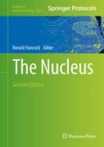 The Nucleus