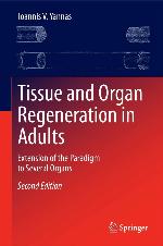 Tissue and Organ Regeneration in Adults