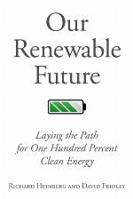 Peak oil, economic growth, and wildlife conservation