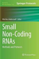 Small Non-Coding Rnas