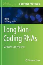Long Non-Coding Rnas