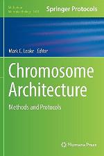 Chromosome Architecture