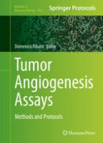 Tumor Angiogenesis Assays