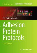 Adhesion Protein Protocols (Methods in Molecular Biology, 1046)