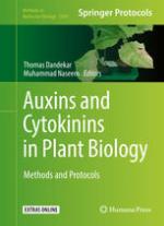 Auxins and Cytokinins in Plant Biology Methods and Protocols