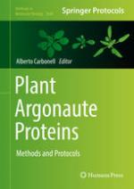 Plant argonaute proteins : methods and protocols