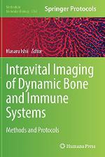 Intravital Imaging of Dynamic Bone and Immune Systems