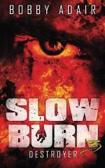 Slow Burn: Destroyer, Book 3 (Volume 3)