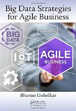 Big Data Strategies for Agile Business