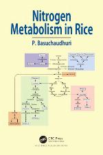 Nitrogen Metabolism in Rice
