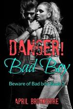 Danger! Bad Boy (Beware of Bad Boy)