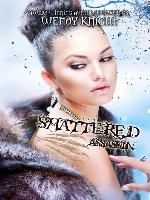 Shattered Assassin