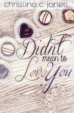 Didn't Mean To Love You (Serendipitous Love) (Volume 1)